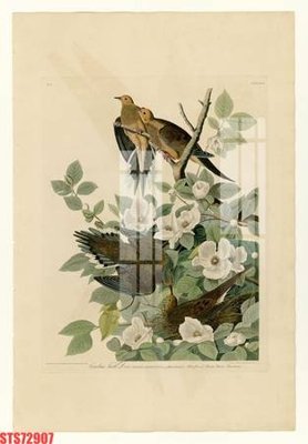 File tranh gốc Tranh sơn dầu phương tây tổng hợp STS72907 (bản quyền) độc đáo