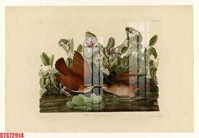 File gốc Tranh sơn dầu phương tây tổng hợp STS72914 (thiết kế) độc quyền