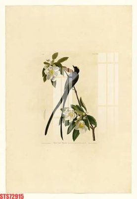 File gốc Tranh sơn dầu phương tây tổng hợp STS72915 (ảnh chi tiết) để in lụa