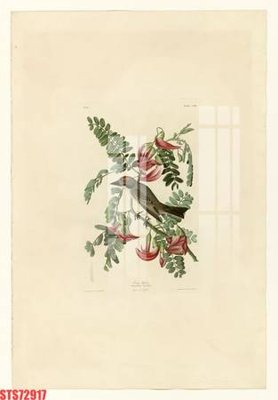 File in lụa Tranh sơn dầu phương tây tổng hợp STS72917 (tân cổ điển) Tranh sơn dầu phương tây tổng hợp STS72917