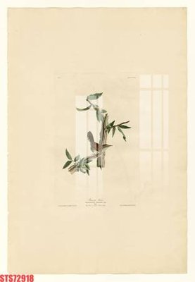 File tranh gốc Tranh sơn dầu phương tây tổng hợp STS72918 (bản quyền) độc đáo