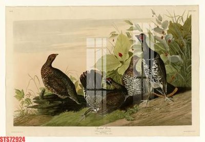 File gốc Tranh sơn dầu phương tây tổng hợp STS72924 (PSD/TIFF) độ phân giải cao