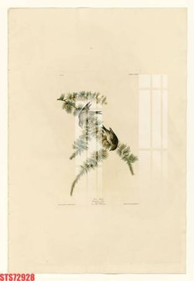 File gốc Tranh sơn dầu phương tây tổng hợp STS72928 (chuẩn CMYK) cho nhà in