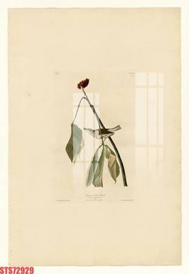 File tranh Tranh sơn dầu phương tây tổng hợp STS72929 (gốc) chủ đề con người