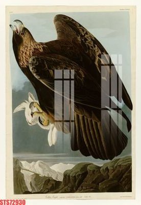 File gốc Tranh sơn dầu phương tây tổng hợp STS72930 (in ấn) màu sắc trung thực