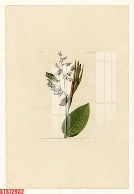 File gốc Tranh sơn dầu phương tây tổng hợp STS72932 (in tráng gương) hiện đại