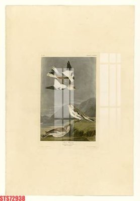 Tải file gốc Tranh sơn dầu phương tây tổng hợp STS72938 (in tráng gương) 5DFile gốc Tranh sơn dầu phương tây tổng hợp STS72938 (in ấn) phiên bản premium