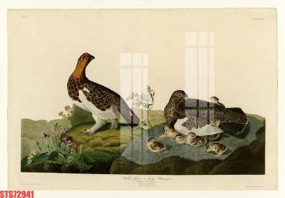 File gốc Tranh sơn dầu phương tây tổng hợp STS72941 (thiết kế) cho in ấn