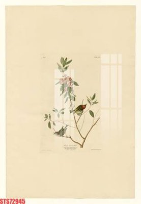 File gốc Tranh sơn dầu phương tây tổng hợp STS72945 (in tráng gương) nghệ thuật