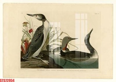 Tải file Tranh sơn dầu phương tây tổng hợp STS72954 (ảnh gốc) in tráng gương