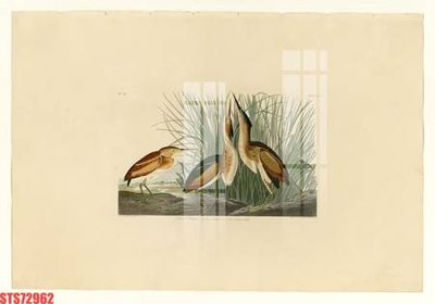 File in trần Tranh sơn dầu phương tây tổng hợp STS72962 (file gốc) phong thủy