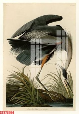 File ảnh Tranh sơn dầu phương tây tổng hợp STS72964 (gốc) dùng in Pano