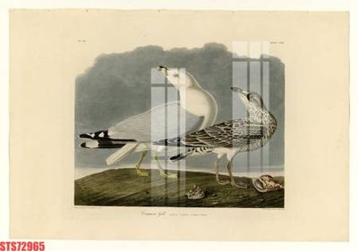 Download file Tranh sơn dầu phương tây tổng hợp STS72965 (chuẩn in) Tranh sơn dầu phương tây tổng hợp STS72965