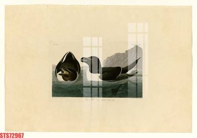 File tranh Tranh sơn dầu phương tây tổng hợp STS72967 (file gốc) chuẩn màu in