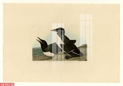 File PSD Tranh sơn dầu phương tây tổng hợp STS72971 (bản gốc) chất lượng nhất