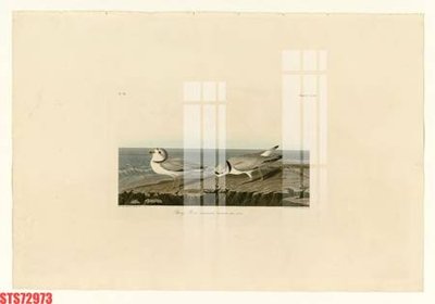 Download file Tranh sơn dầu phương tây tổng hợp STS72973 (gốc) in mica bàn thờ