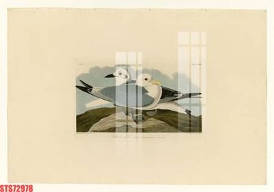 File gốc Tranh sơn dầu phương tây tổng hợp STS72978 (vector) cho in ấn