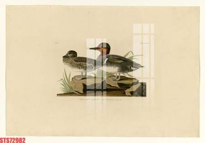 File ảnh Tranh sơn dầu phương tây tổng hợp STS72982 (gốc) in standee