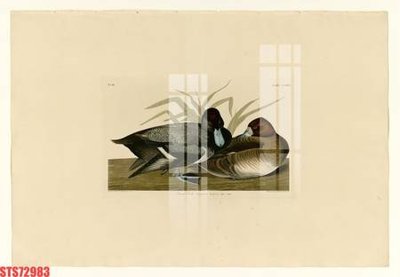 File in trần Tranh sơn dầu phương tây tổng hợp STS72983 (bản gốc 3D) sống động