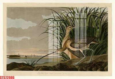 File tranh Tranh sơn dầu phương tây tổng hợp STS72986 (bản gốc) treo tường