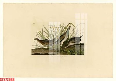 Mua file gốc Tranh sơn dầu phương tây tổng hợp STS72988 (chất lượng) tại Filetranh.com