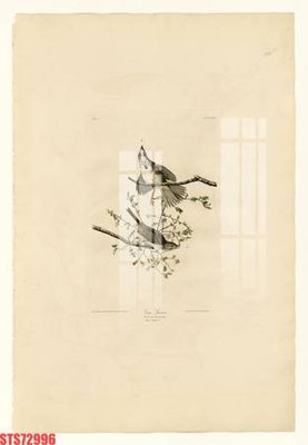 File tranh Tranh sơn dầu phương tây tổng hợp STS72996 (gốc) chủ đề con người