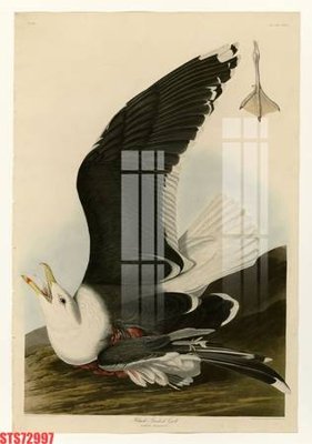 File gốc Tranh sơn dầu phương tây tổng hợp STS72997 (cho in ấn) từ kho Filetranh