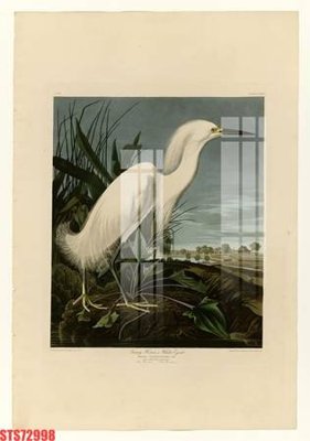 File tranh Tranh sơn dầu phương tây tổng hợp STS72998 (gốc) chủ đề thiên nhiên