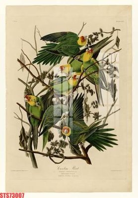 Tải file Tranh sơn dầu phương tây tổng hợp STS73007 (ảnh gốc) in tráng gương