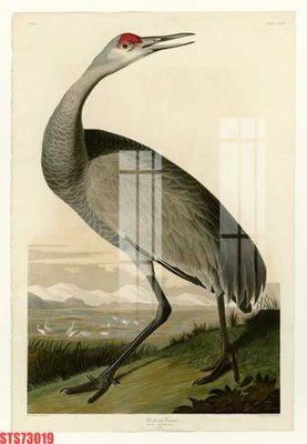 File gốc Tranh sơn dầu phương tây tổng hợp STS73019 (chuẩn CMYK) cho nhà in