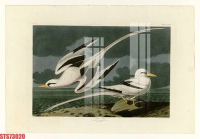 File gốc Tranh sơn dầu phương tây tổng hợp STS73020 (phong cách) cổ điển