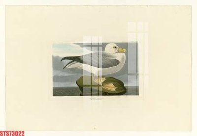 File in lụa Tranh sơn dầu phương tây tổng hợp STS73022 (hoa văn) Tranh sơn dầu phương tây tổng hợp STS73022