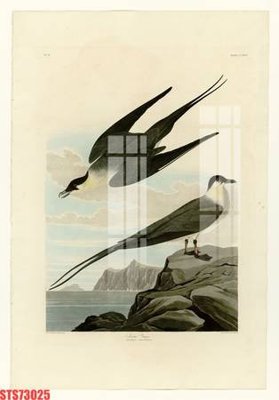 Cung cấp file tranh gốc Tranh sơn dầu phương tây tổng hợp STS73025 độc quyền