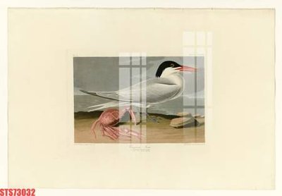 Tải file gốc Tranh sơn dầu phương tây tổng hợp STS73032 (in không vỡ ảnh)