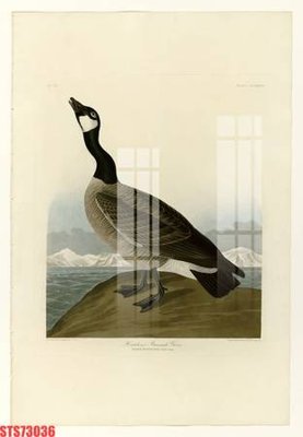 Tải file Tranh sơn dầu phương tây tổng hợp STS73036 (PSD) cho in ấn quảng cáo