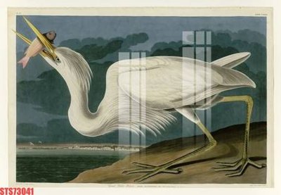 File tranh Tranh sơn dầu phương tây tổng hợp STS73041 (bản gốc) treo tường