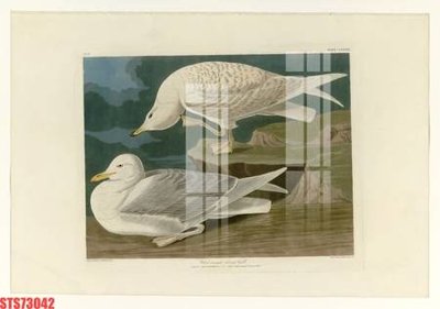 Download file gốc Tranh sơn dầu phương tây tổng hợp STS73042 (dùng cho in ấn)