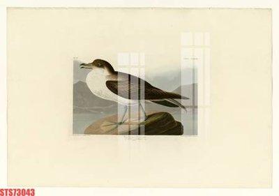 Tải file gốc Tranh sơn dầu phương tây tổng hợp STS73043 (bản PSD) chỉnh sửa được