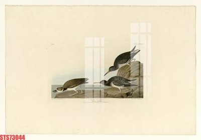 File tranh in mica Tranh sơn dầu phương tây tổng hợp STS73044 (độ phân giải cao)