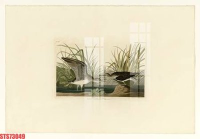 File gốc Tranh sơn dầu phương tây tổng hợp STS73049 (chủ đề hiện đại) trang trí