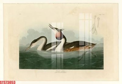 File tranh Tranh sơn dầu phương tây tổng hợp STS73053 (ảnh gốc) sắc nét hoàn hảo