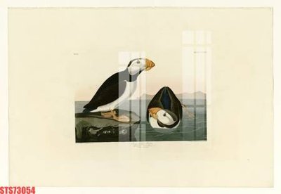 Download file gốc Tranh sơn dầu phương tây tổng hợp STS73054 (in lụa) cao cấp