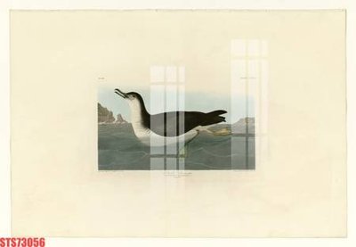 Tải file Tranh sơn dầu phương tây tổng hợp STS73056 (gốc) in trên mọi chất liệu