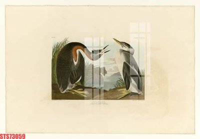 File tranh Tranh sơn dầu phương tây tổng hợp STS73059 (ảnh gốc) độc quyền