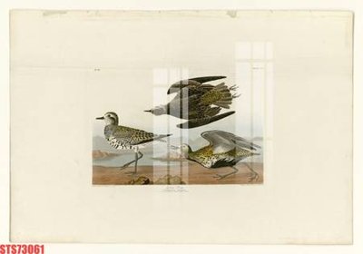 File PSD Tranh sơn dầu phương tây tổng hợp STS73061 (chất lượng in ấn)