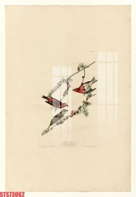 Hình ảnh gốc Tranh sơn dầu phương tây tổng hợp STS73062 (để in khổ lớn)