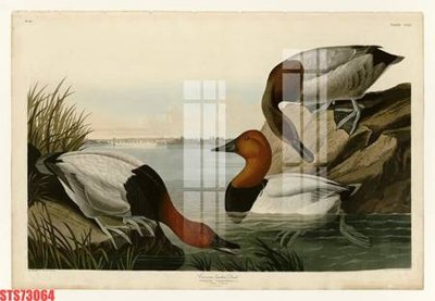 File tranh Tranh sơn dầu phương tây tổng hợp STS73064 (bản gốc) trang trí văn phòng