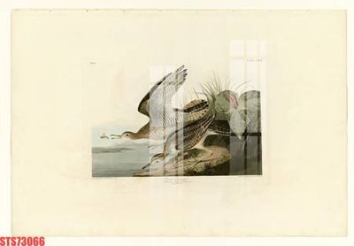 Download file tranh PSD Tranh sơn dầu phương tây tổng hợp STS73066 để chỉnh sửa