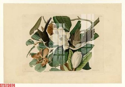 Tải file Tranh sơn dầu phương tây tổng hợp STS73074 (gốc) chủ đề hoa sen