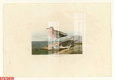 Tải về file gốc Tranh sơn dầu phương tây tổng hợp STS73079 (dùng cho in quảng cáo)